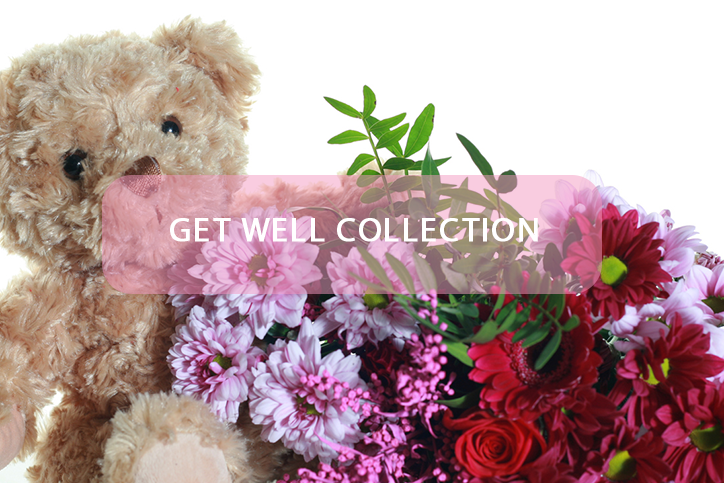 flower get well soon teddy bear