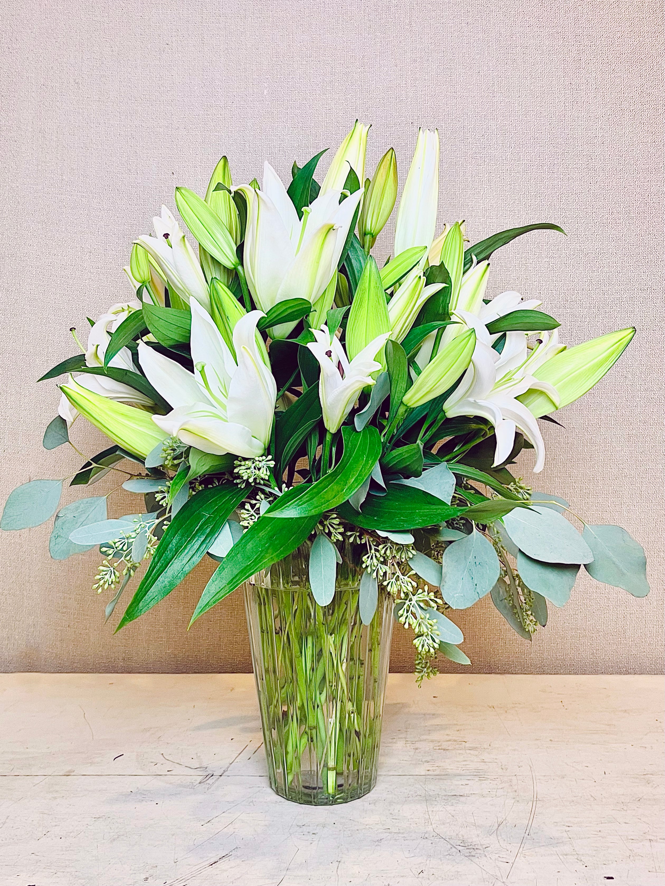 LILY です VAN ZYVERDEN INC Lily Oriental Stargazer Roots (6-Pack
