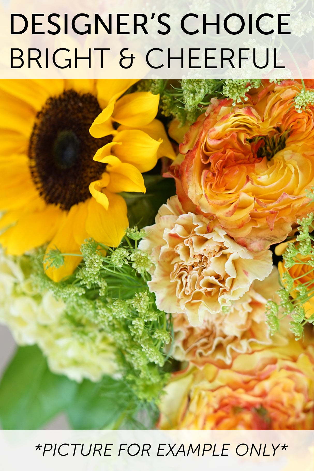 Designer's Choice - Bright and Cheerful