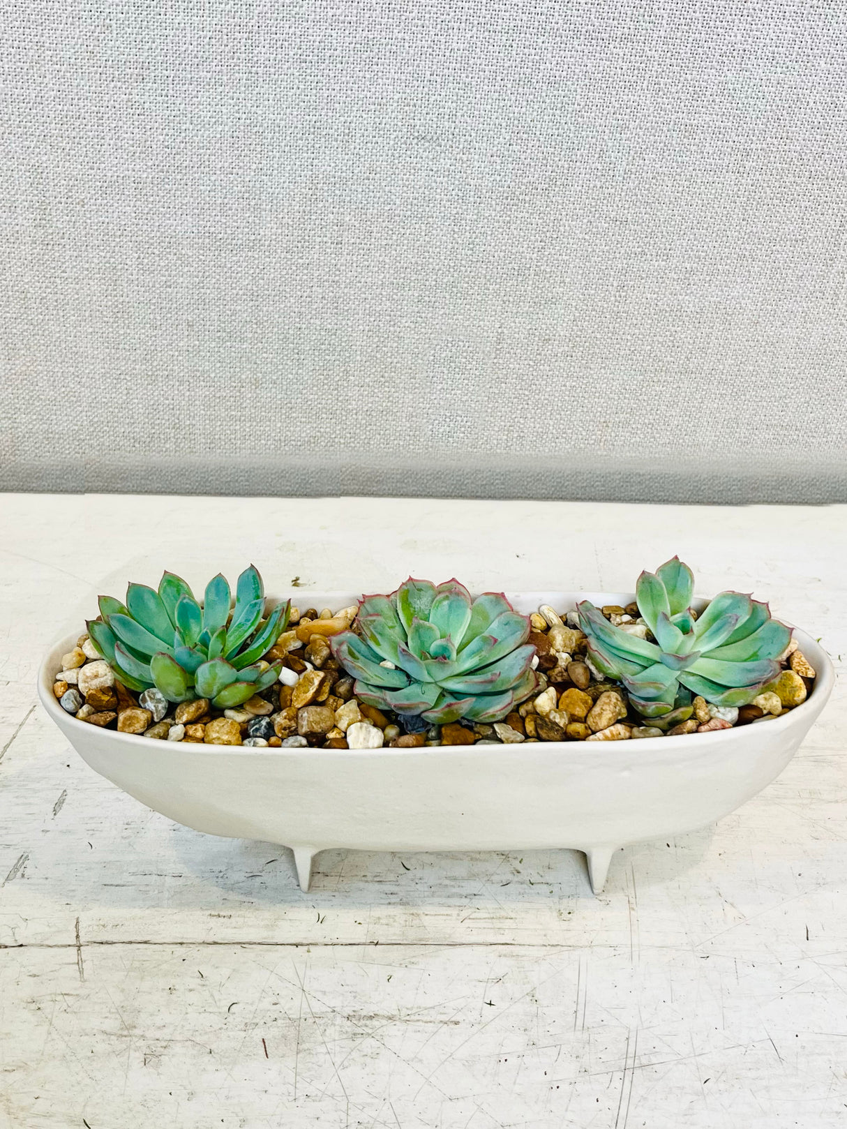 Imari Gardens Planter