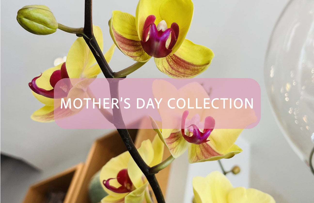 Mother's Day - 5/11