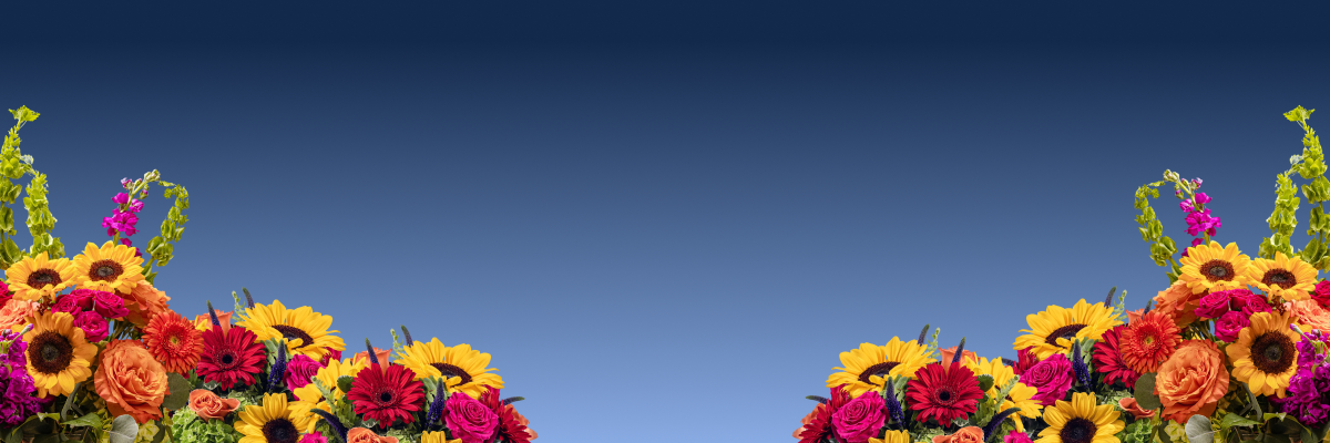 slideshow background