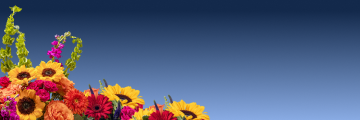 slideshow mobile background image