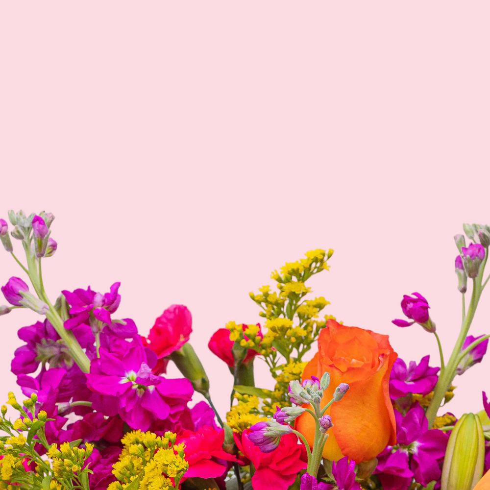 multimedia collage image