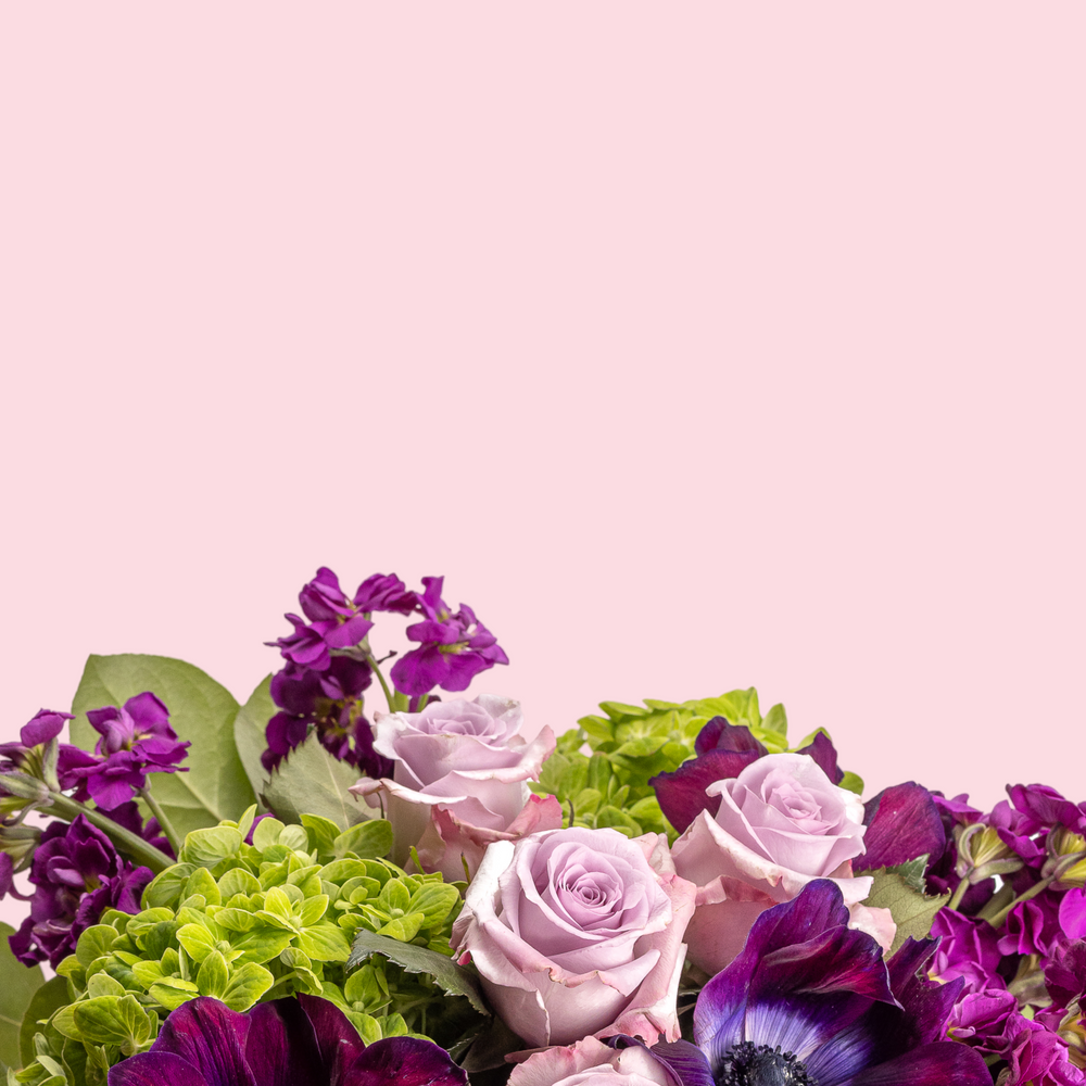 multimedia collage image