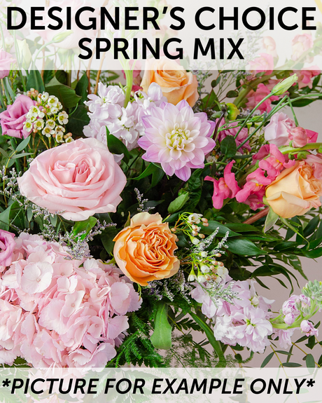 Designer's Choice - Spring Mix