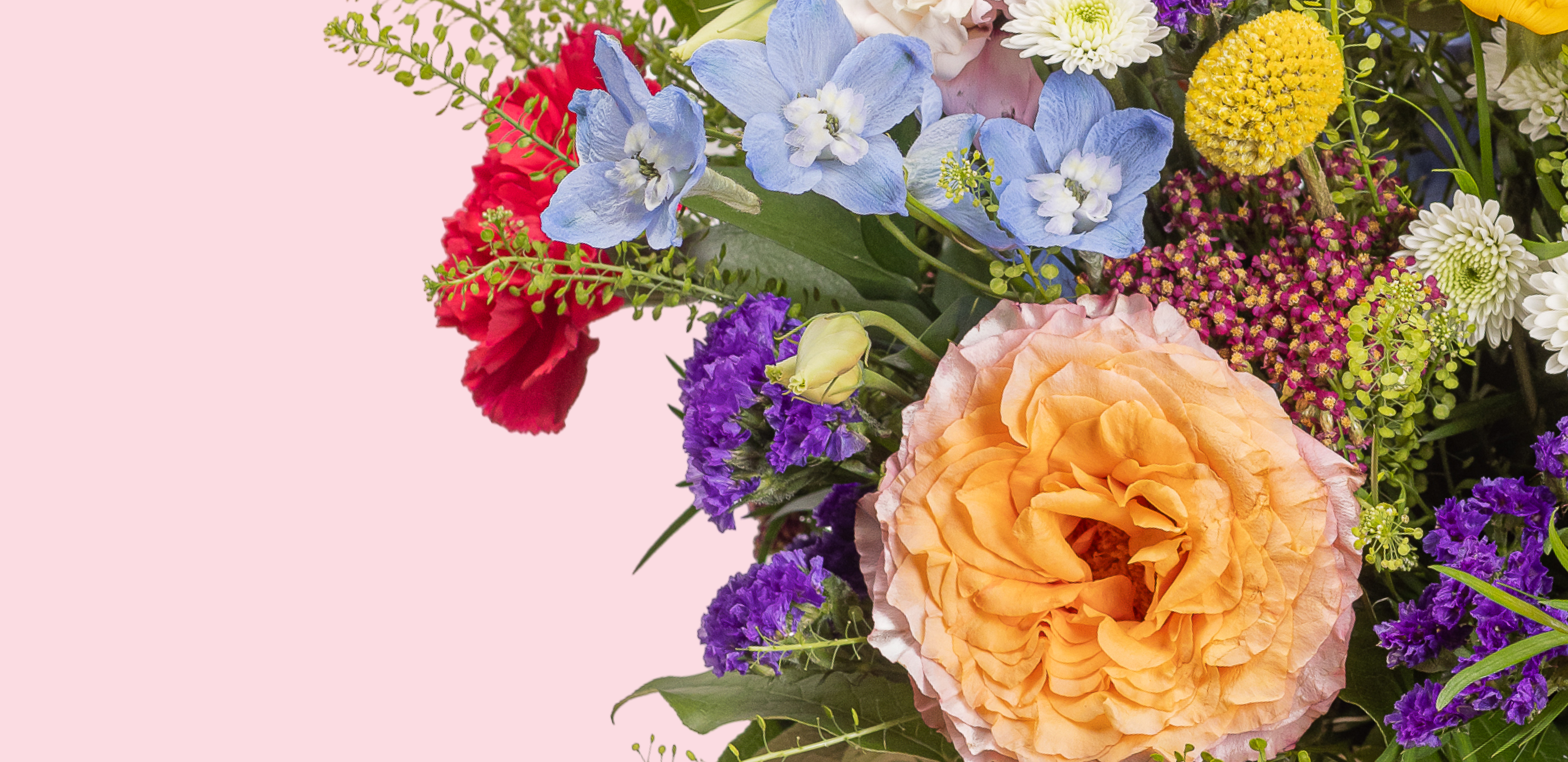 slideshow background