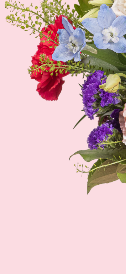 slideshow mobile background image