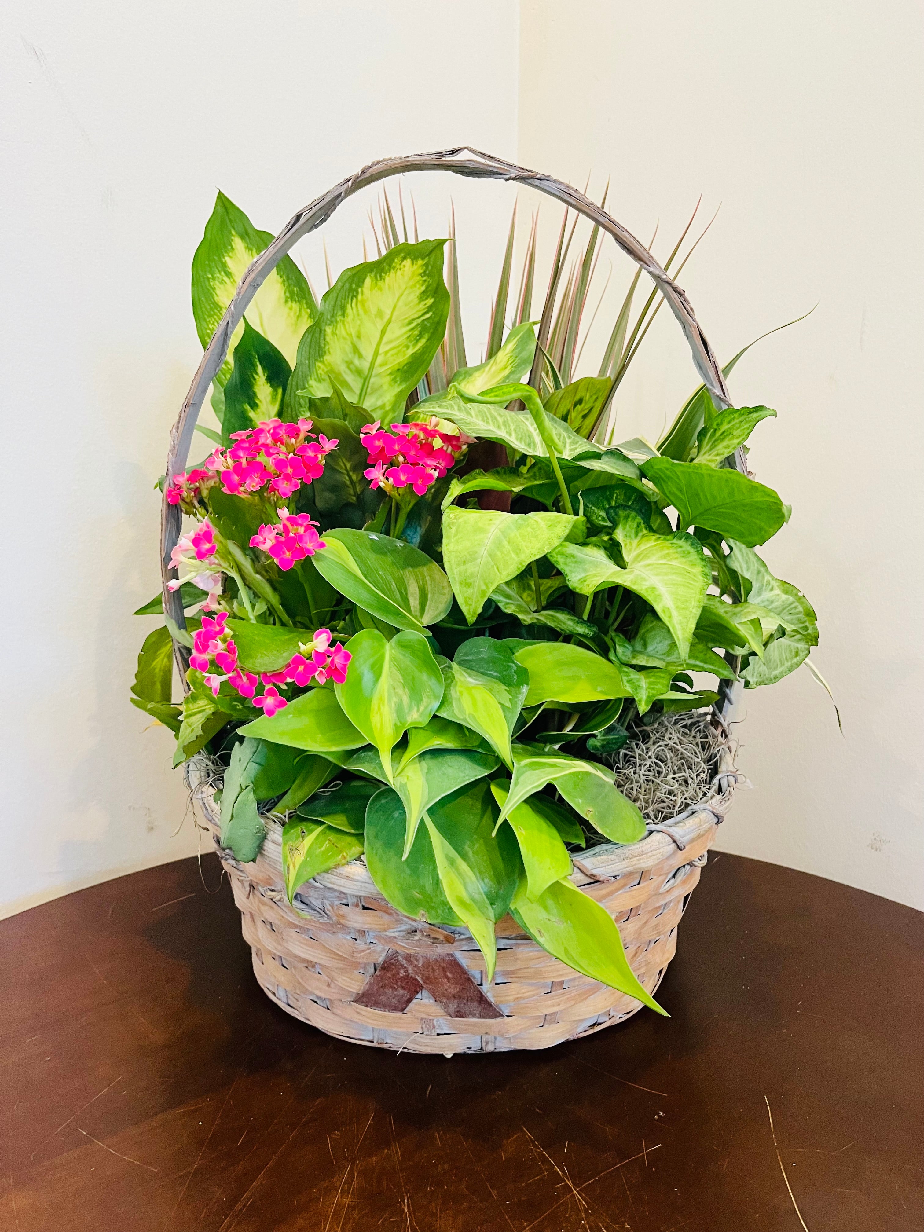 Florist Designed Blooming and Green Plants in a Basket – Peachtree