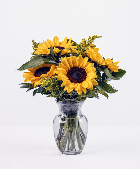 Cheerful sunflower bouquet arranged in a clear glass vase