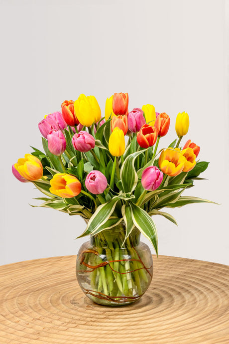 40 colorful assorted tulips with extra greenery and curly willow in a large peony vase.