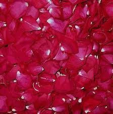 Rose Petals –