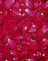 Fresh Rose Petals